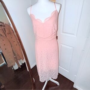 Express Blush Lace Midi Dress